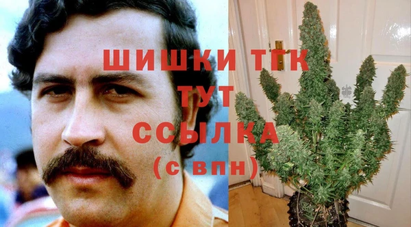 дживик Баксан