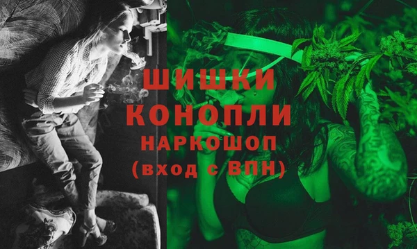 дживик Баксан