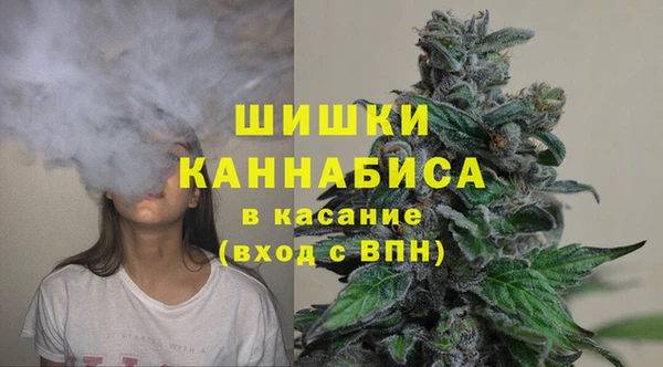 дживик Баксан