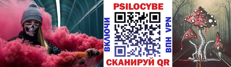Псилоцибиновые грибы MAGIC MUSHROOMS  дарнет шоп  Мышкин 